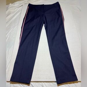 Navy Pants with Pink Stripes